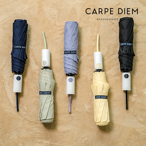 ī����� 55 3���ڵ���� (C061)